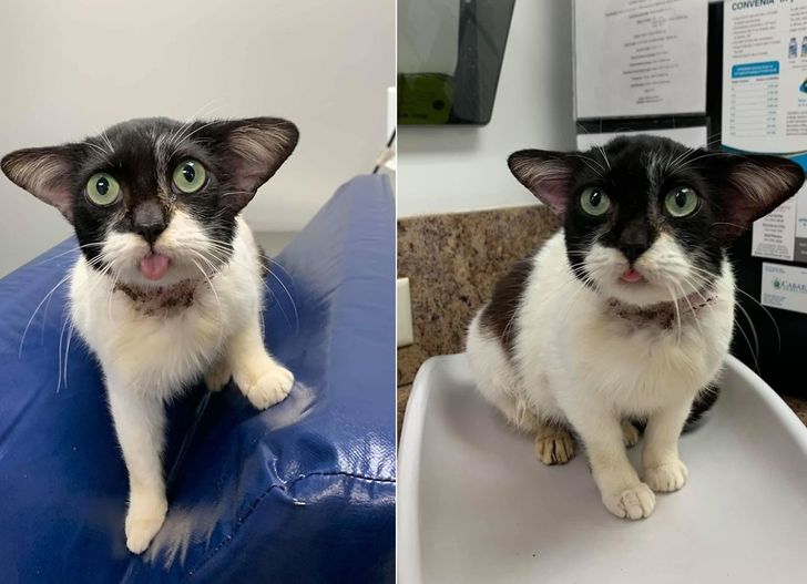 11e35c5d6a9b9922d8afde8823