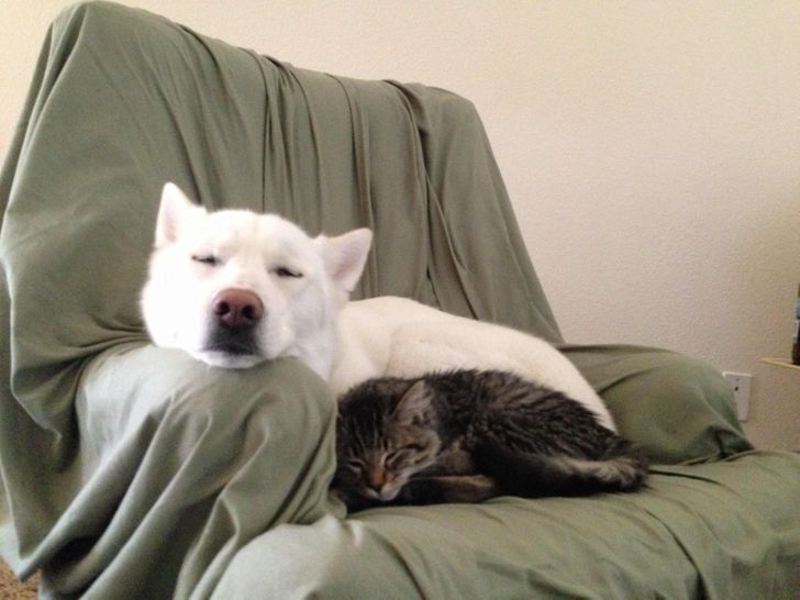 11f2de5e66a49cad9f47db650f