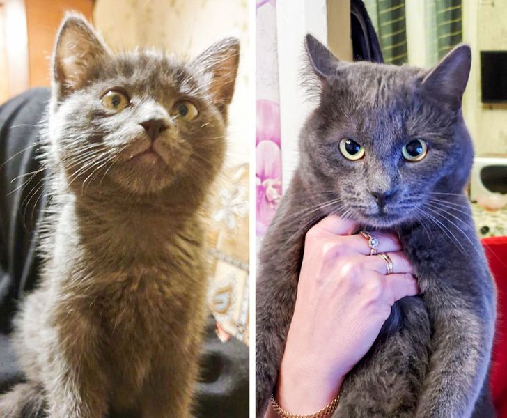 11f5fa524193d9bbf610384cb4