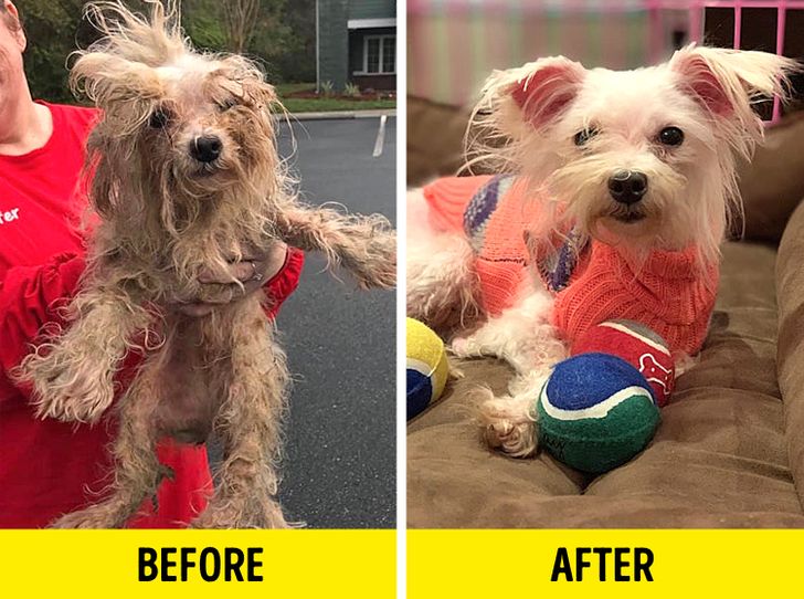 11fa7a557682ee97e79ec5a767