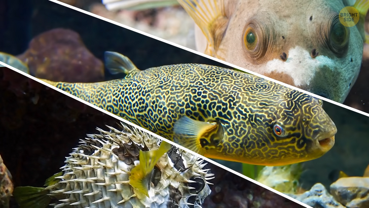 11fbcc5b6793a4df2b42e37ab3 11fbcc5b6793a4df2b42e37ab3