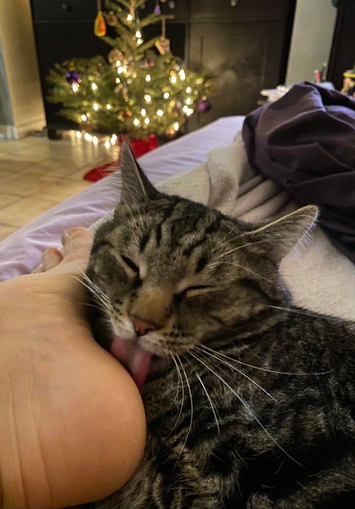 1201fa5391aabb4af5d1915b46