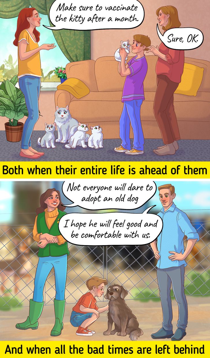 120aec51b39d15131d9d143e46