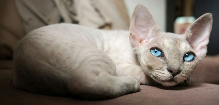 120bc059c2b3a2255be7d8673c