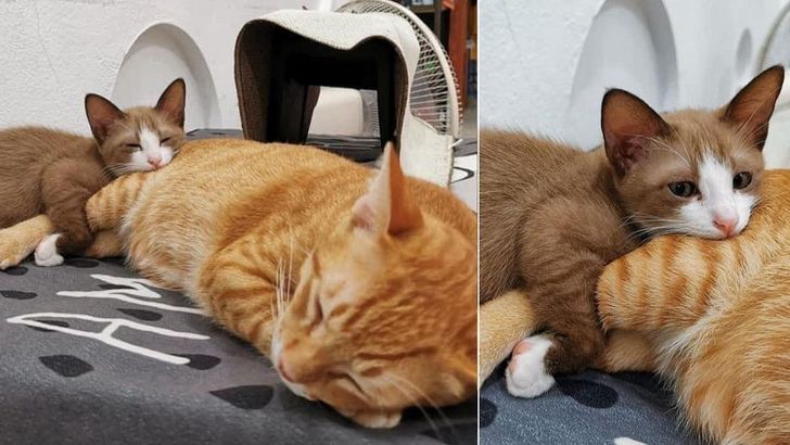 120d8c5ff187f7086d886f4420