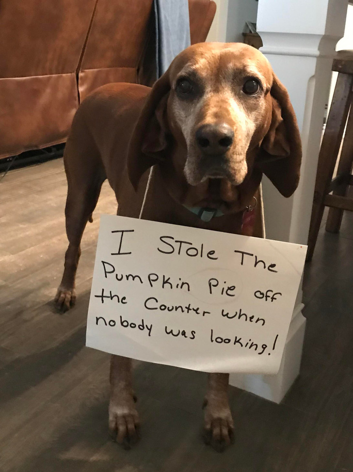 1216eb5b7f9ff208eef0149d1e