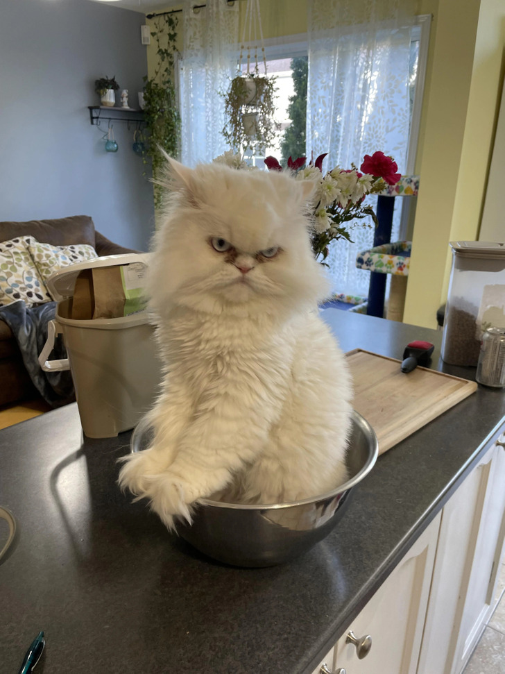 1217cd5073aa254b8da8884207