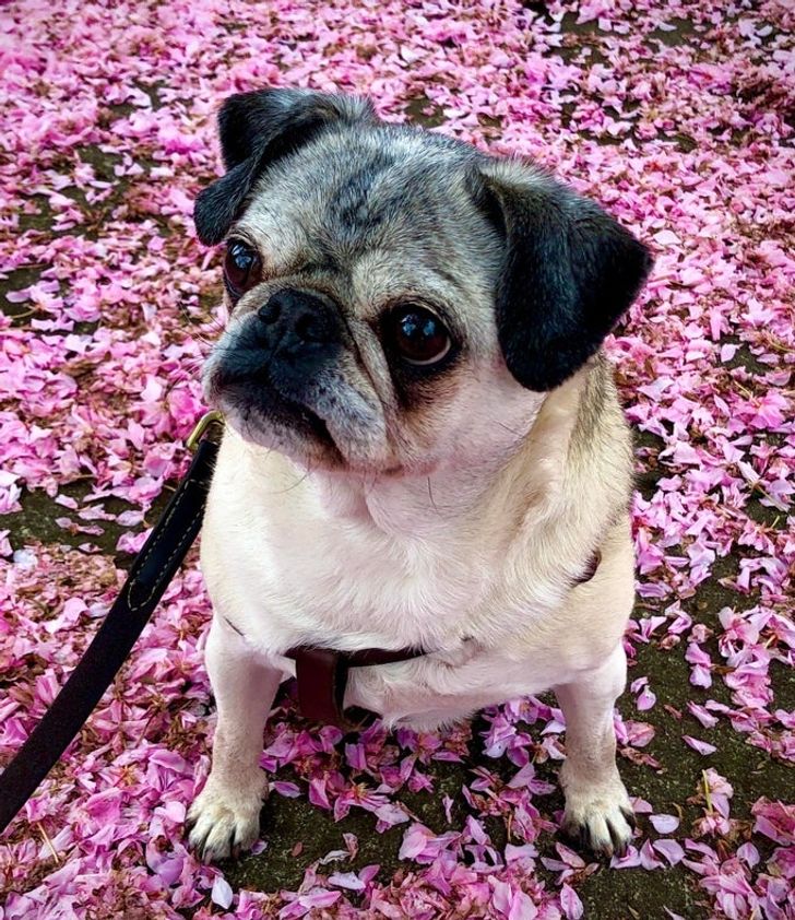 12184c51149338c996d3ade689