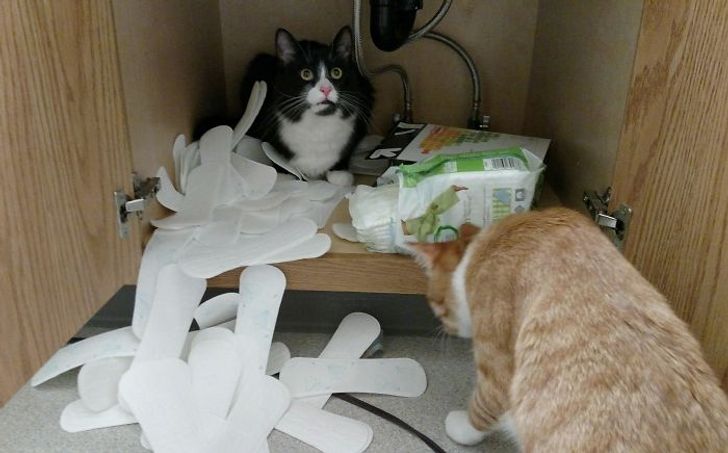 12188f55029d3a5024ecf9eb2a