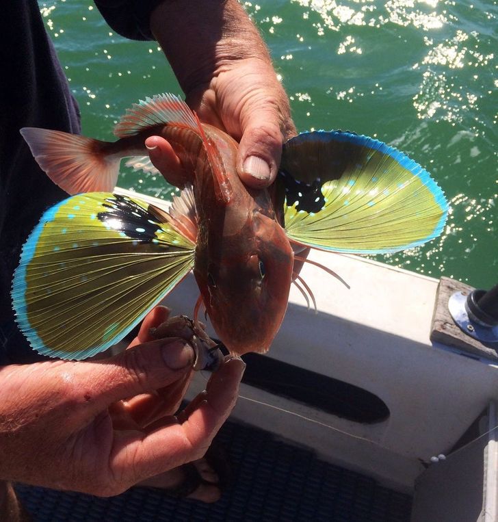 1218c356a5a79bc48c84322664