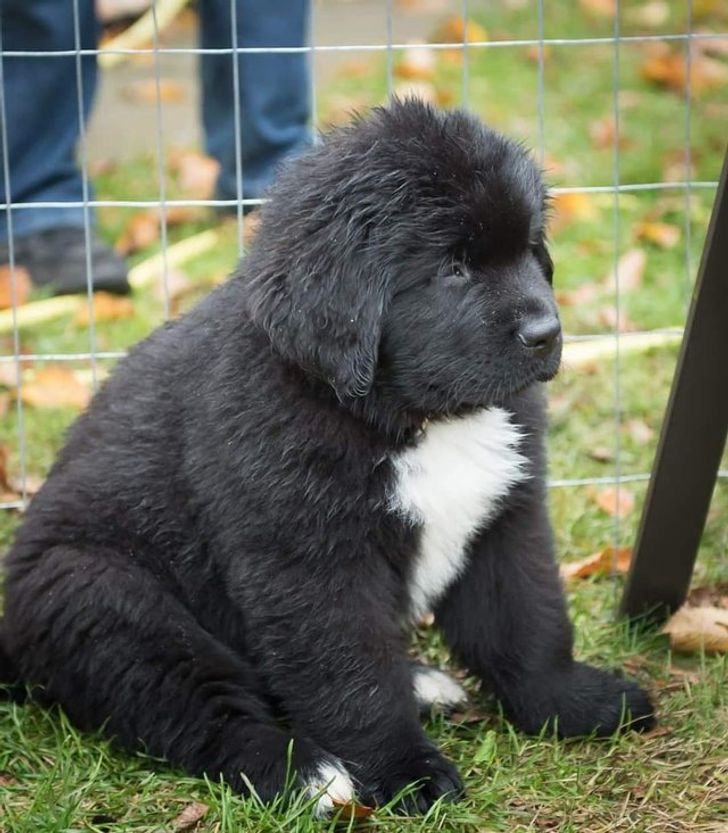 1219885b4086ed692539f539b6 1219885b4086ed692539f539b6