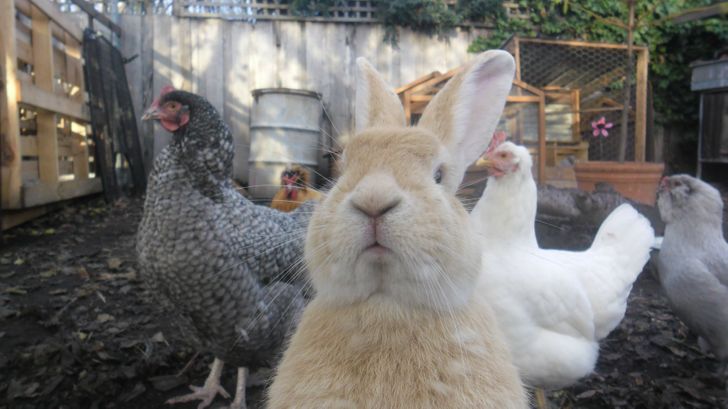 121d845825859cee2d67b8bcfe