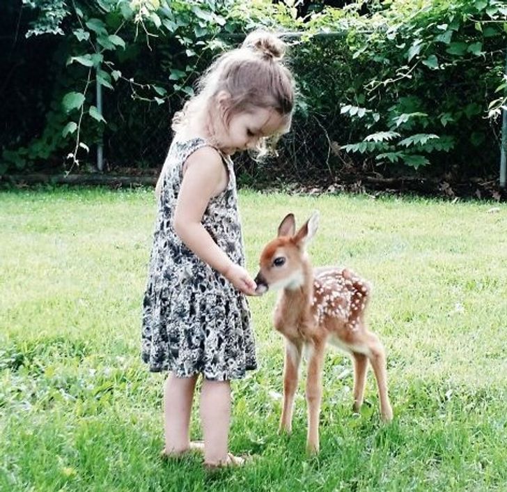 1220525dfca64e24edccb08228