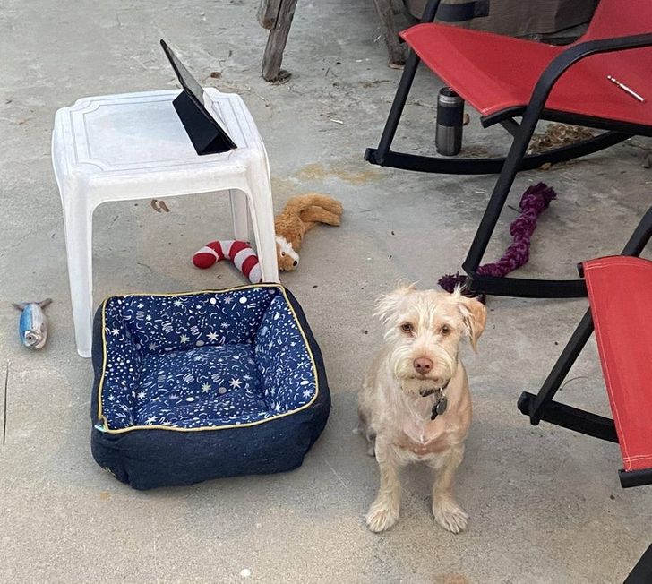 1229ee58639015bb5aeac37a64