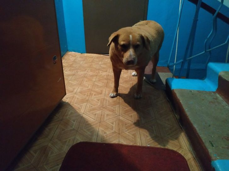 122cee57f58d1b4bbf2a461a48