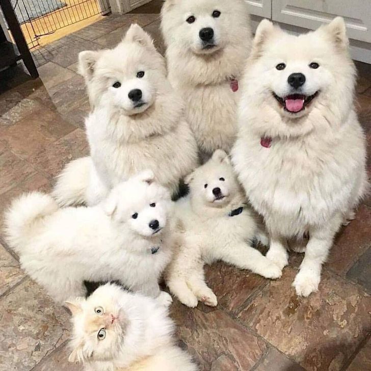 12346952b6b2c0f2de6604f9f8