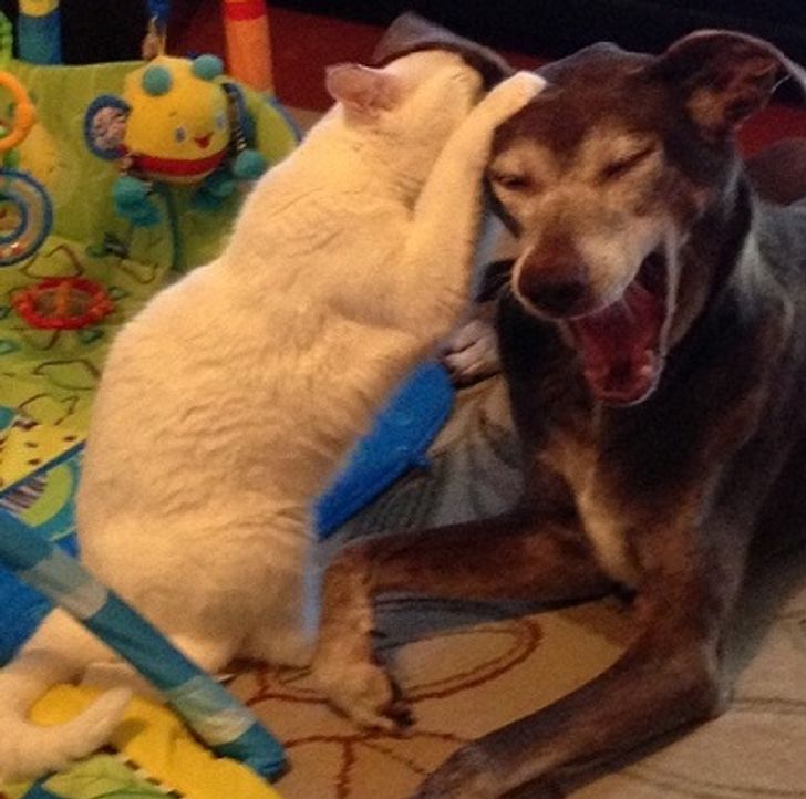 123afd5077b0e93d1eeea7308f