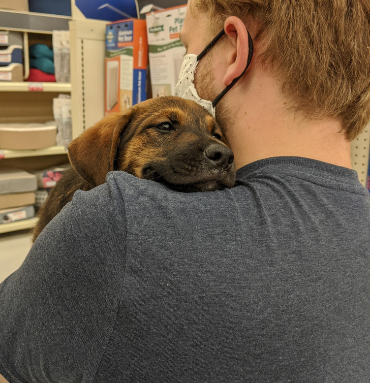 12469257998d1dcbd826ee0f85