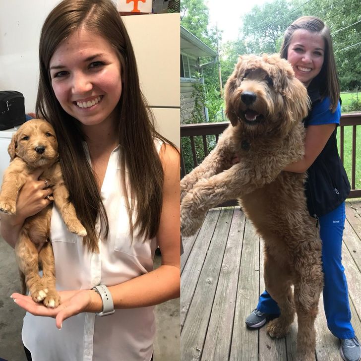 124ab1599eb9032064ec45b4ed