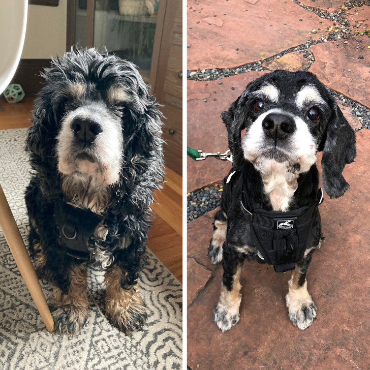 12534f5828afe71afc12fcc2de