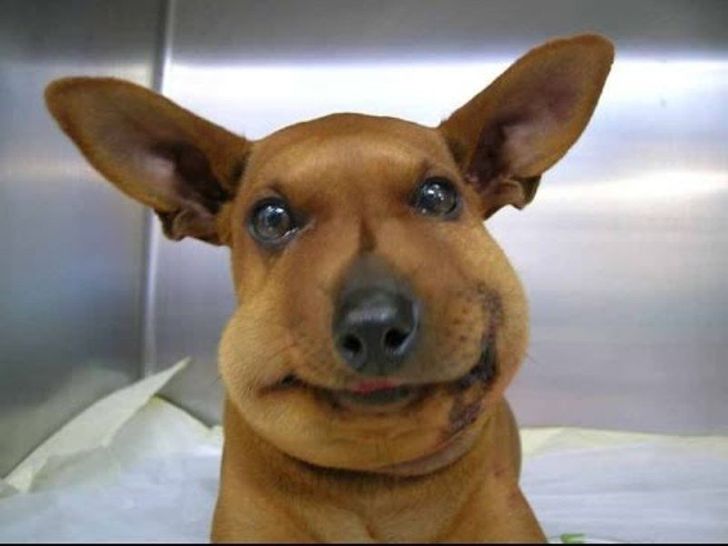 1254c55689926d34afcc9500c2