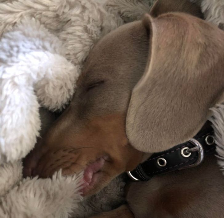 1255fb50a3a2314589242d5dbf