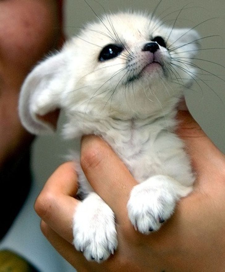 1259125c64adb281a50859b85f