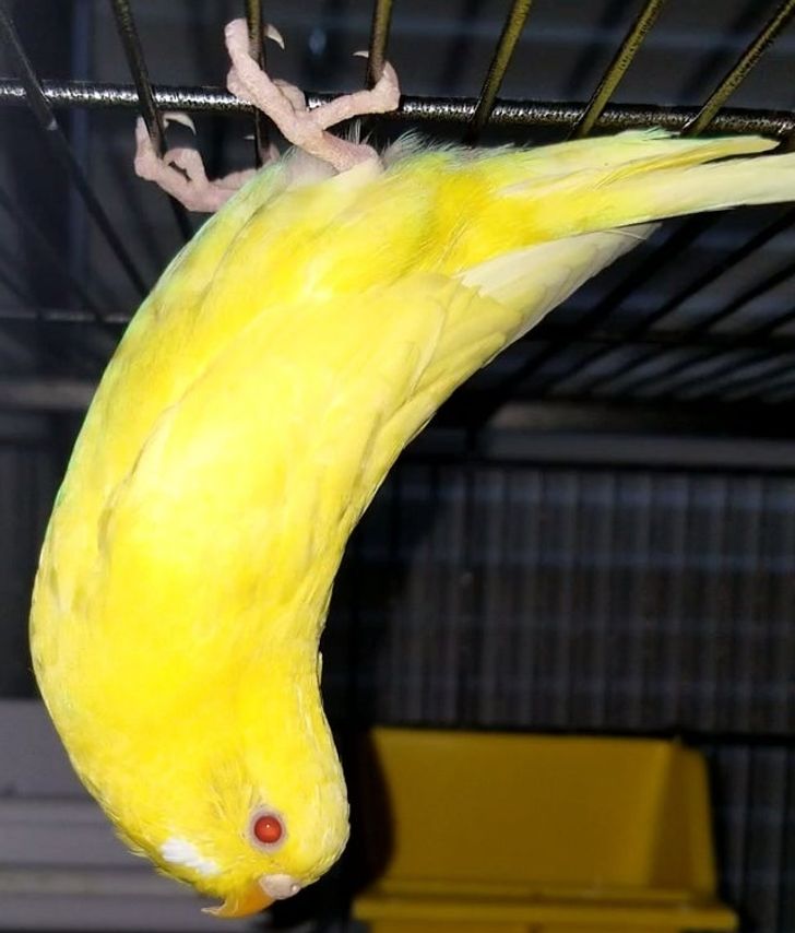 1262725e0392006ef978536beb