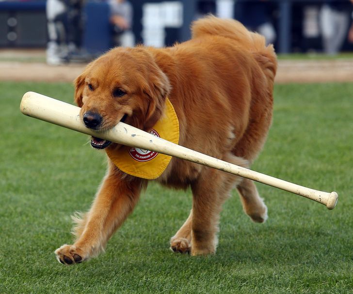 126435524c92a6cd341837b282