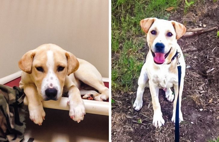 126b385f699dddf3ae1ce51414 126b385f699dddf3ae1ce51414