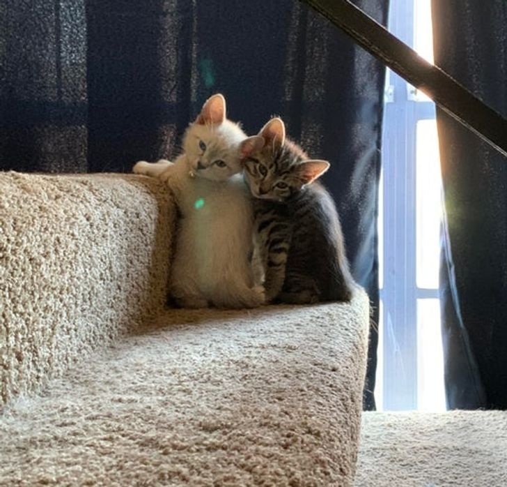 126e05547fa128fe1def9f8944