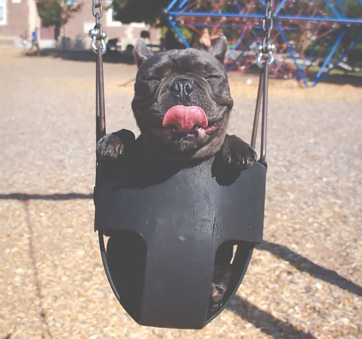 12776d522dba6989d6834c567b