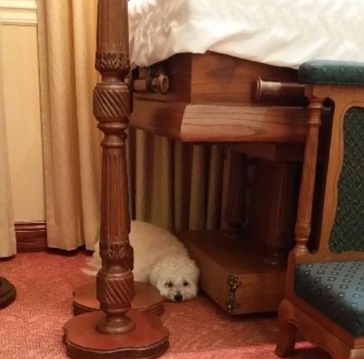 127c965a148bc0e35de1b40b10