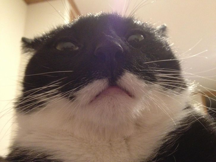 127e295fc29daa909b92f01e25