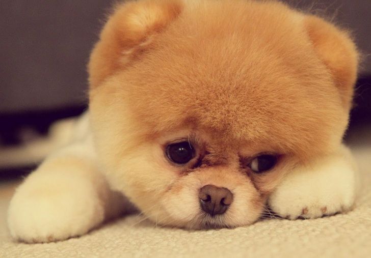 1282c351b29daa2255ee4ef1e1