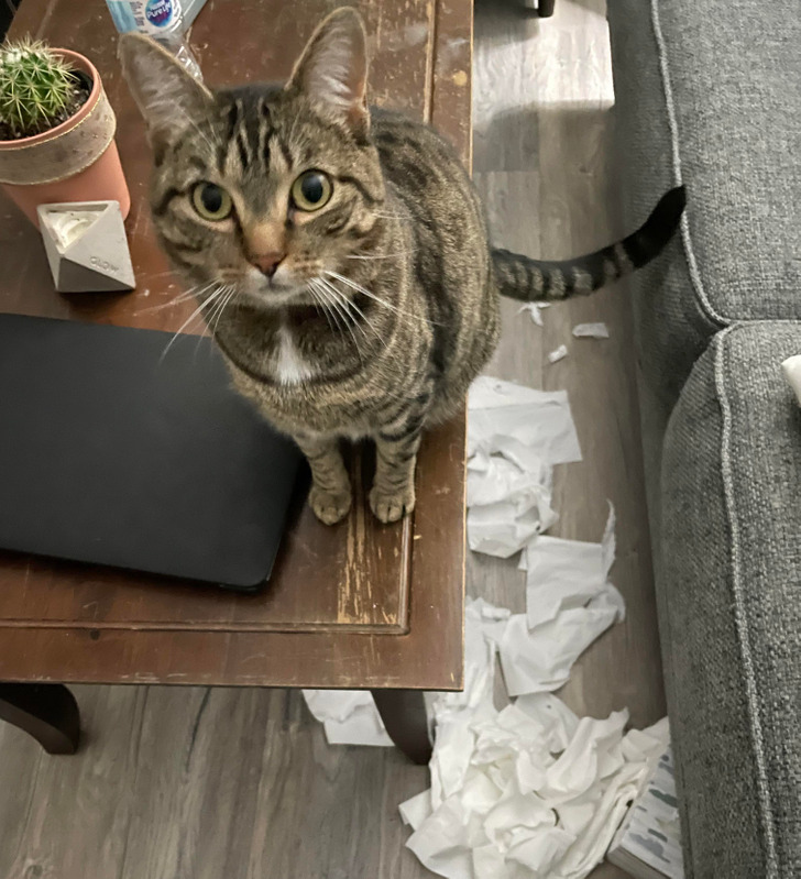 12849f5201aabcde8dfb1736a6 12849f5201aabcde8dfb1736a6