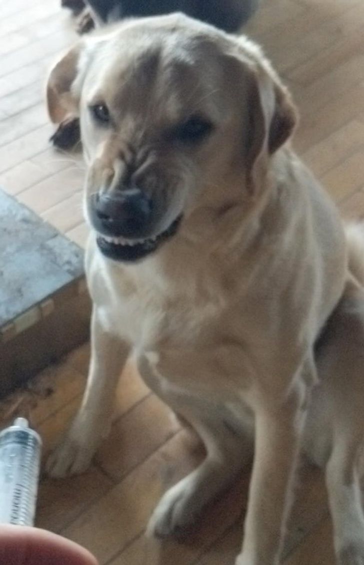 129382567a9f2e6be8a863639e