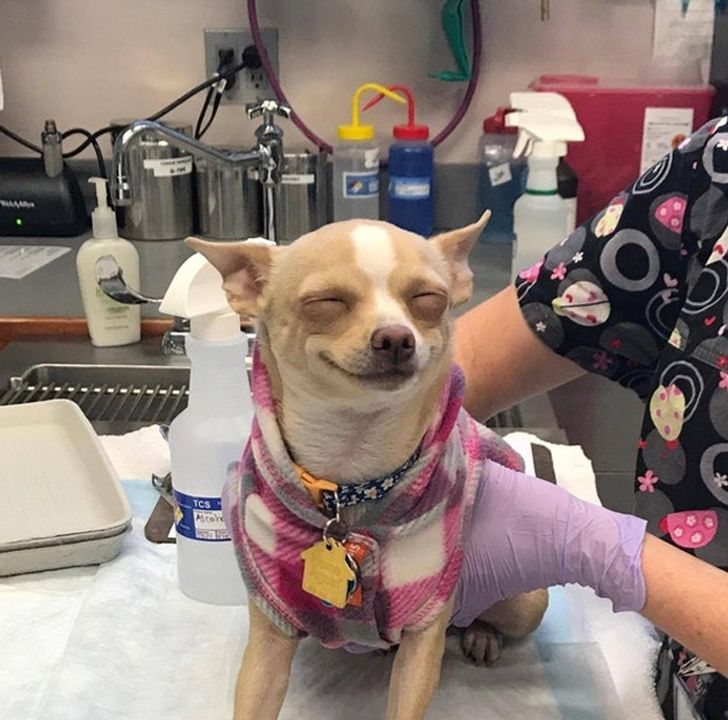 129bbf5edda00fc8d3c14a7385