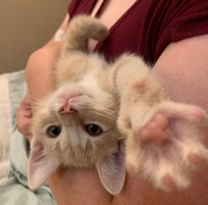 12a370520fbfb99aa17f684012