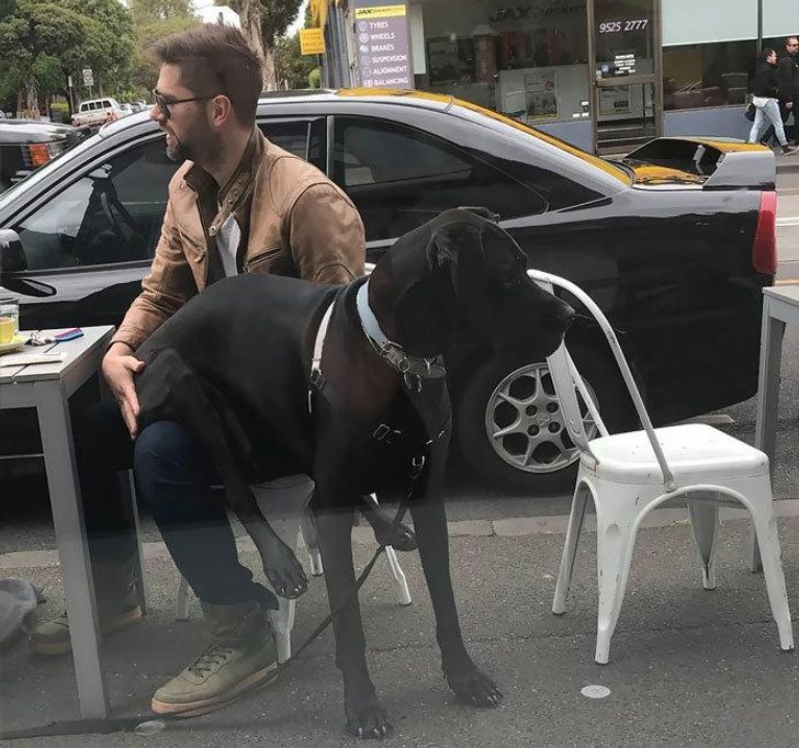 12a6645096a106b4882876fabe