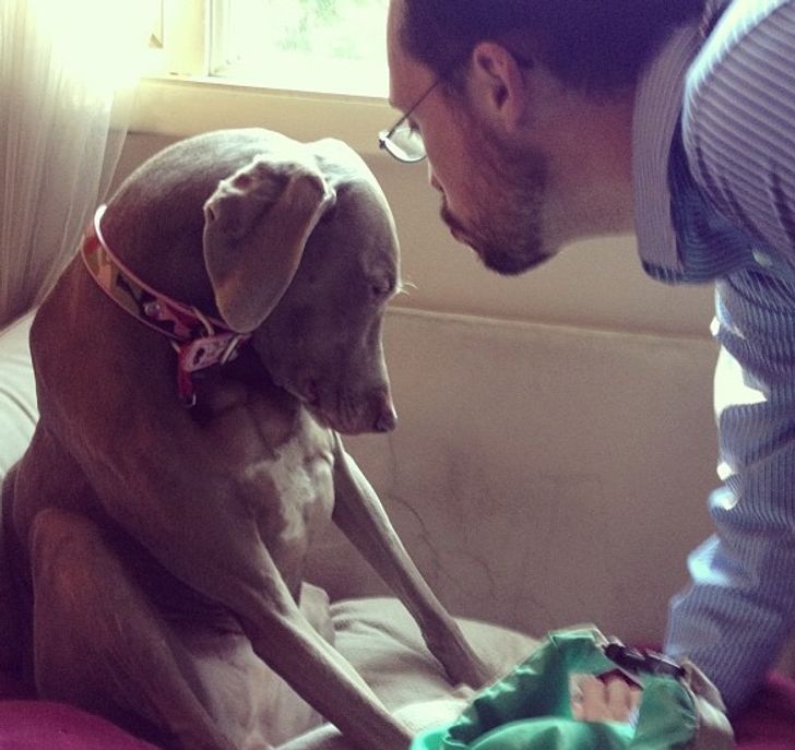 12af81590780a3582552eb84c6