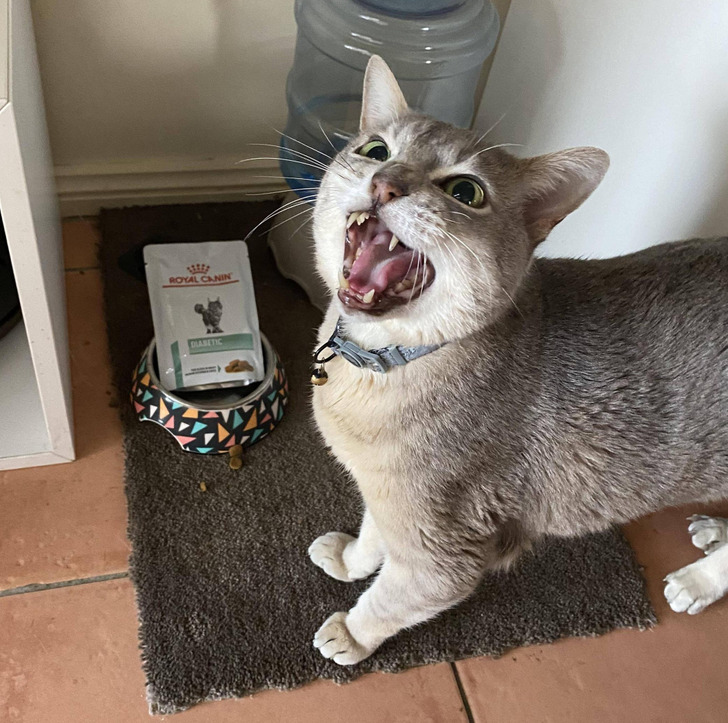 12b47a50ceb6415945bf7c429f