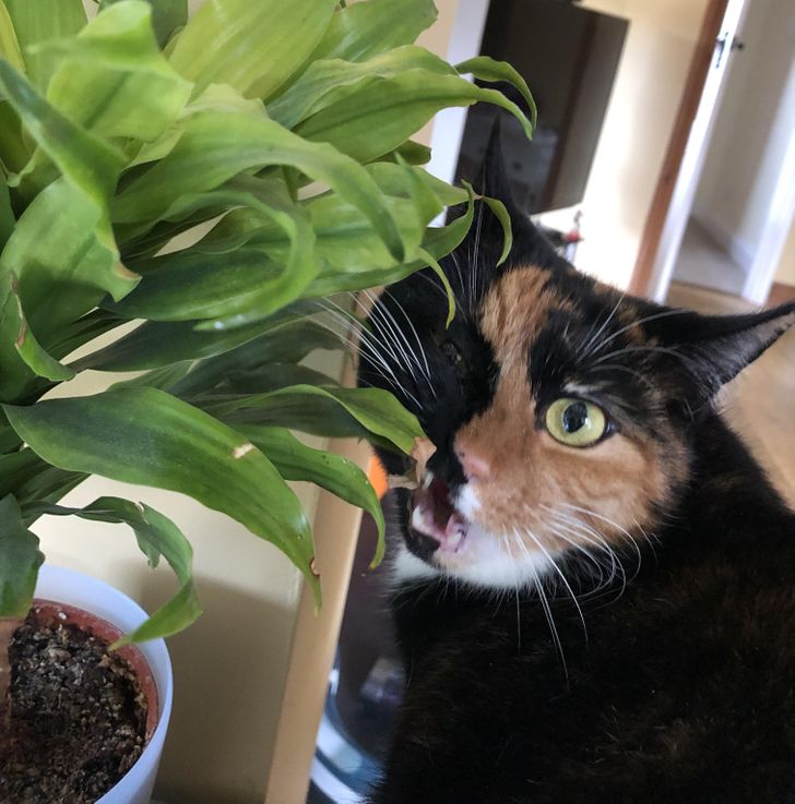 12b4dd583bb466d1ba2009dc47