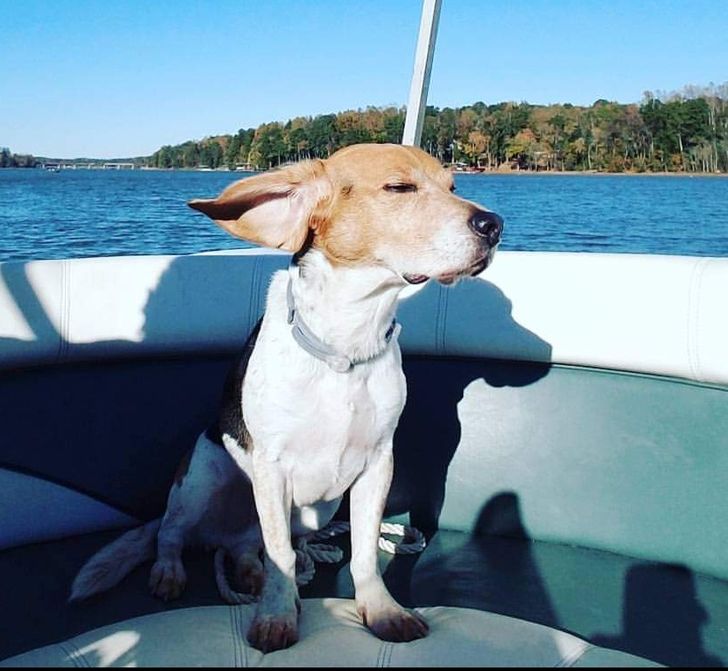 12b4fd57898e14176fb3648b2f 12b4fd57898e14176fb3648b2f