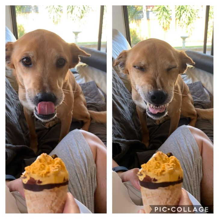 12bfe5594c9cbaed47c0c438fd