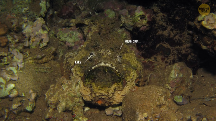 12c7945835aef1ca11518ee7e7 12c7945835aef1ca11518ee7e7