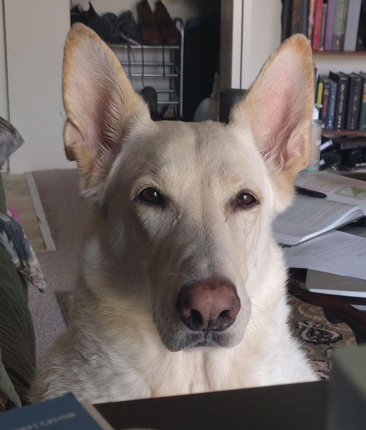 12c8a65cbba57abb1dfd8aefc4