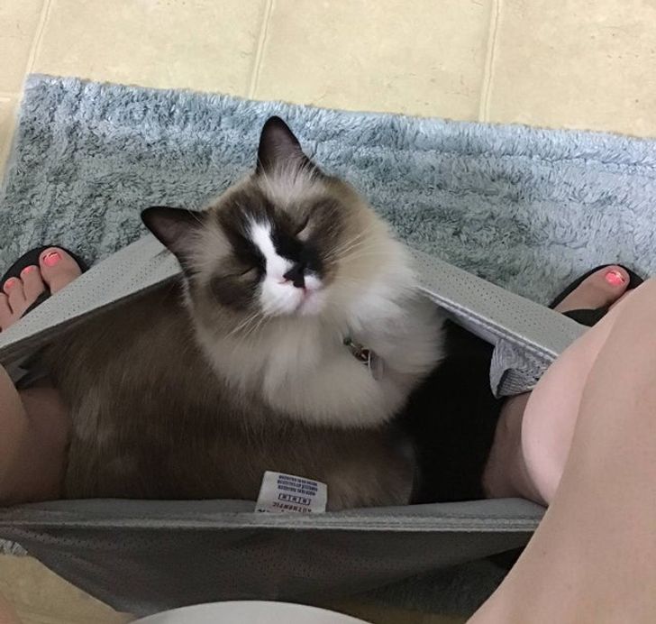 12e12b544da8496b67b891972a