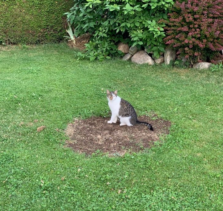 12e3485f5484e12d098d7bcc1b