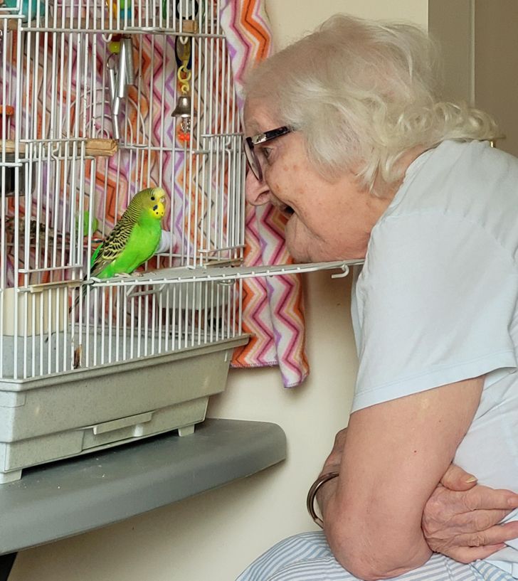 12e4b75aebafb43e30716ca753 12e4b75aebafb43e30716ca753